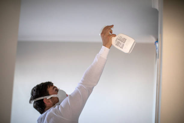 Best Attic Mold Removal  in Mccordsville, IN