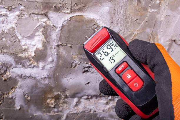 Best Mold Inspection  in Mccordsville, IN