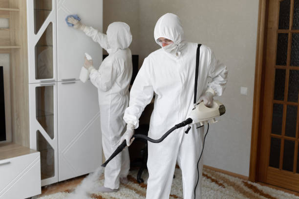 Mold Testing and Removal in Mccordsville, IN