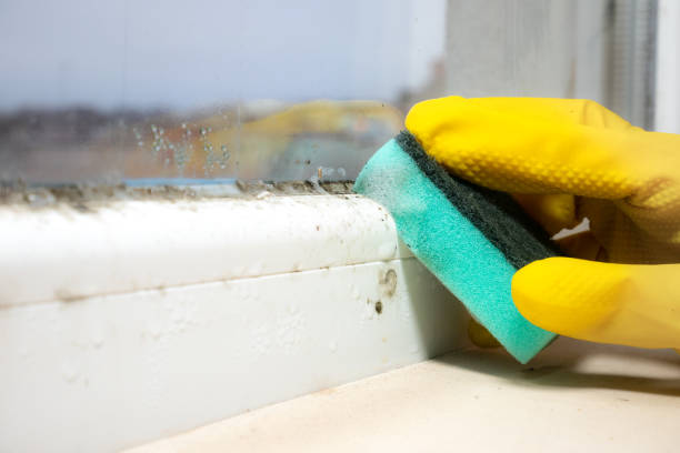 Best Mold Testing  in Mccordsville, IN
