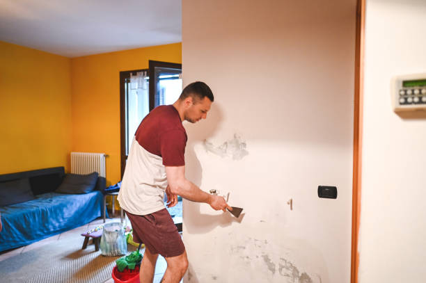 Professional Mold Removal in Mccordsville, IN
